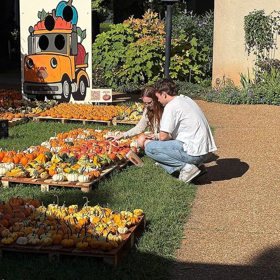 Couple at a pumpkin patch, selecting pumpkins from crates. A painted truck backdrop is visible.