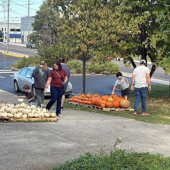 People browsing pumpkins for sale; outdoor scene.