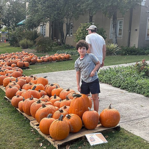 Boy and man choosing pumpkins at a pumpkin patch; orange gourds on pallets, green grass, and a building in the background.