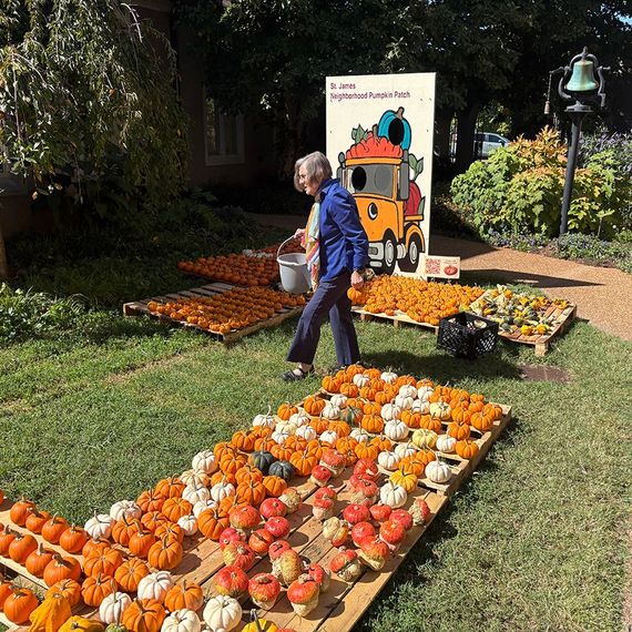 Woman arranging pumpkins on wooden pallets in a sunny outdoor display.