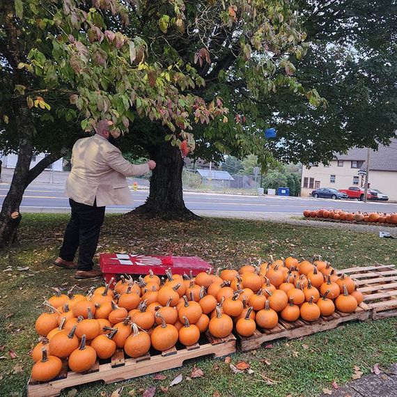 Man reaching for object in tree near pumpkins on pallets, outdoors.
