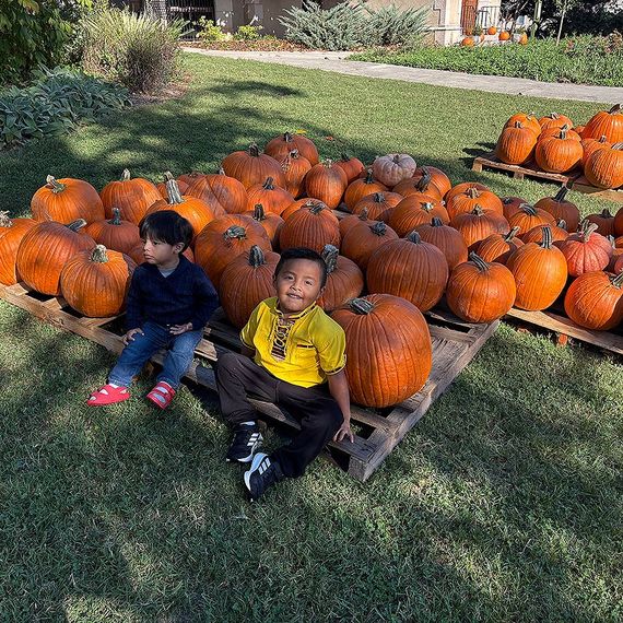 Two children sit on a pallet surrounded by pumpkins in a grassy yard.