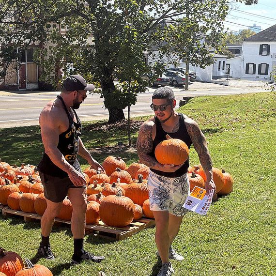 Two men at a pumpkin patch on a sunny day. One holds a pumpkin, the other looks at pumpkins.