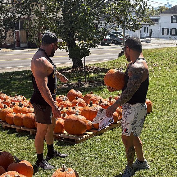 Two muscular men selecting pumpkins from a display in an outdoor, sunny setting.
