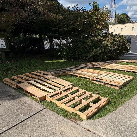 Wooden pallets on green grass next to a sidewalk. Bushes and trees in the background.