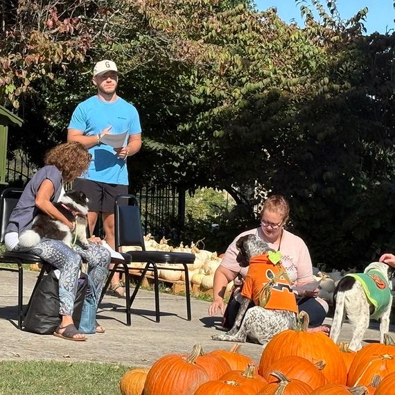 People with dogs at an outdoor event, some wearing costumes. Pumpkins in foreground, man speaking.