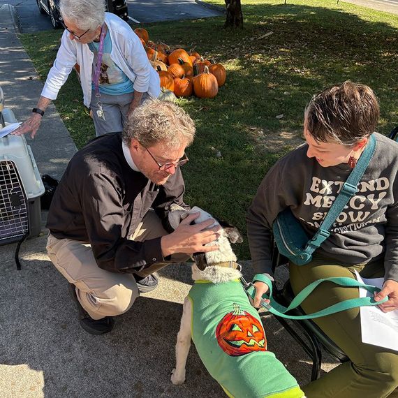 A man petting a dog in a pumpkin patch, with a woman and an elderly person nearby.