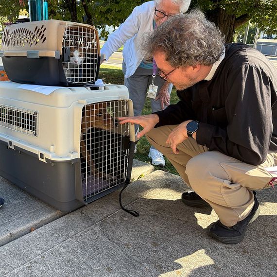 Man kneels, petting dog in carrier; another person looks on. Two pet carriers outside.