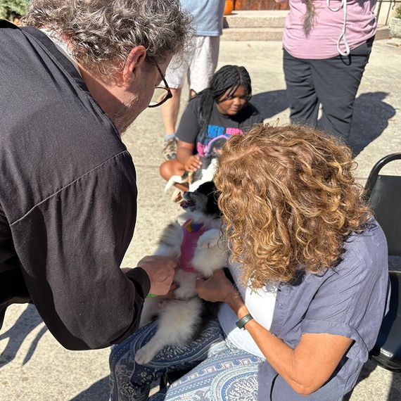 Two people petting a small, black and white dog outdoors; other people in the background.