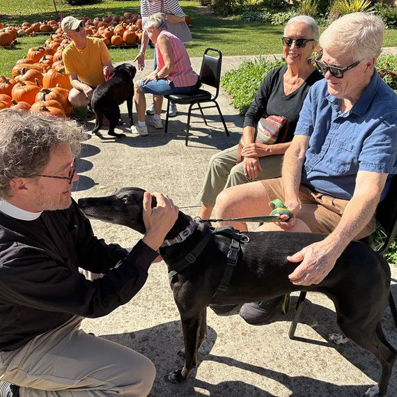 Man petting a black greyhound dog; two others watch. Pumpkins and people in the background; outdoors.