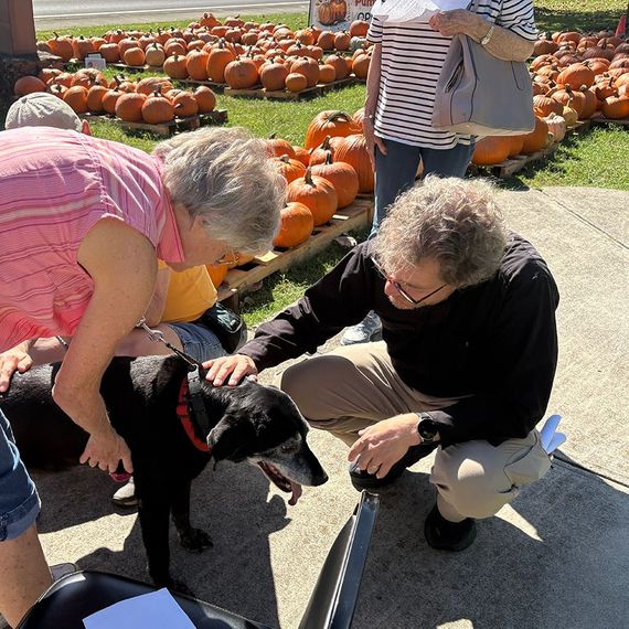 People petting a black dog at a pumpkin patch. Pumpkins in the background.