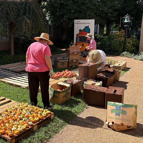 People sorting produce outside, near a sign. Tomatoes and pumpkins are in boxes and on pallets.