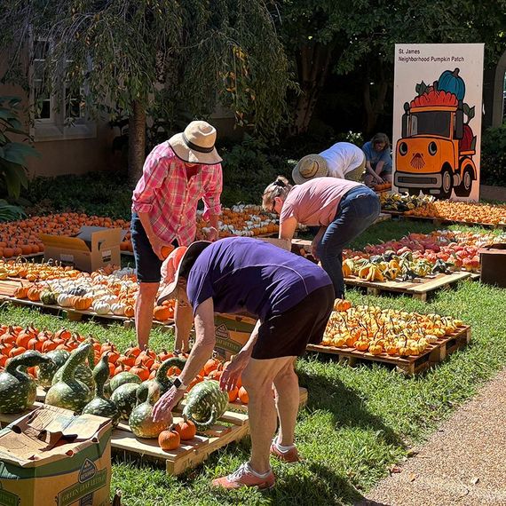 People arranging gourds on pallets at an outdoor pumpkin patch in front of a sign.