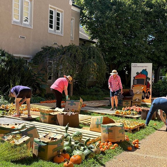 People sorting pumpkins and gourds outside a building. Boxes, pallets, and a sign are present.