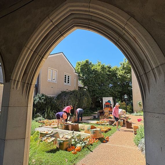 People arranging pumpkins outdoors, viewed through a stone archway. Sunny day.