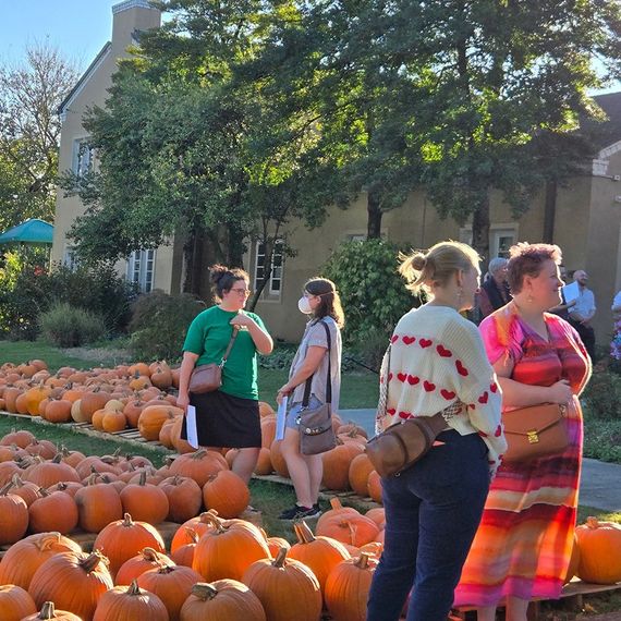 People choosing pumpkins from a field in front of a light beige building and trees on a sunny day.