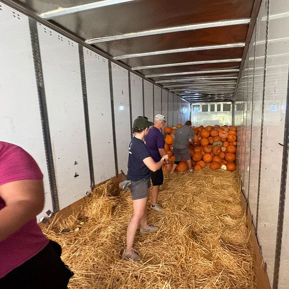 People unloading pumpkins from a truck filled with straw.