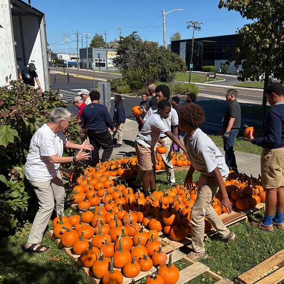 People picking pumpkins from pallets outdoors on a sunny day.