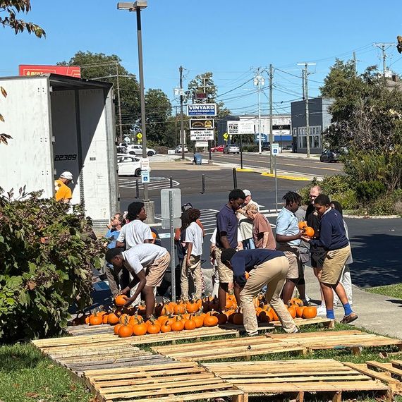 People arranging pumpkins from a truck on pallets. Outdoor setting, sunny.