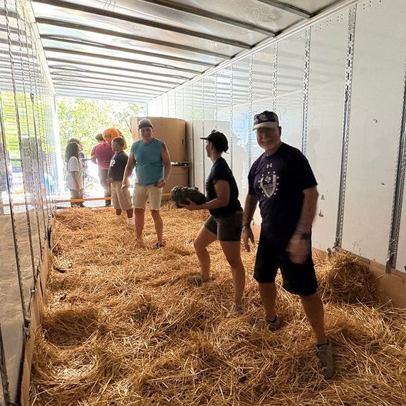 People inside a truck with straw on the floor. Woman holds something. Others stand and look.