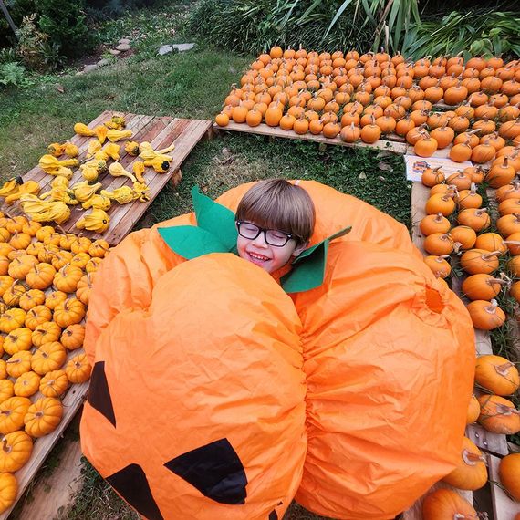 Boy in pumpkin costume surrounded by pumpkins in a yard, smiling with glasses.