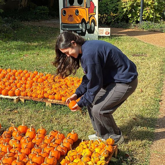 Woman selecting a pumpkin from a display of orange pumpkins on pallets in a grassy area.