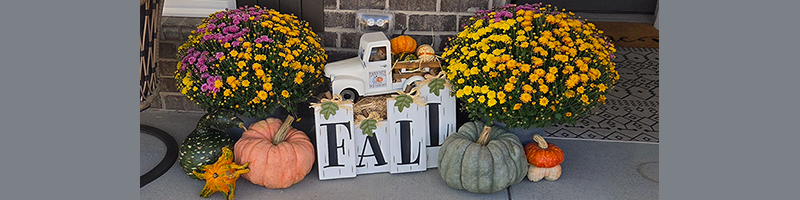 A person takes a photo of a child in a wagon full of pumpkins at a pumpkin patch.