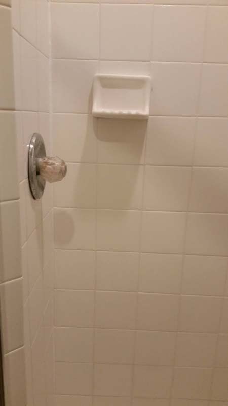 Shower Grout Project