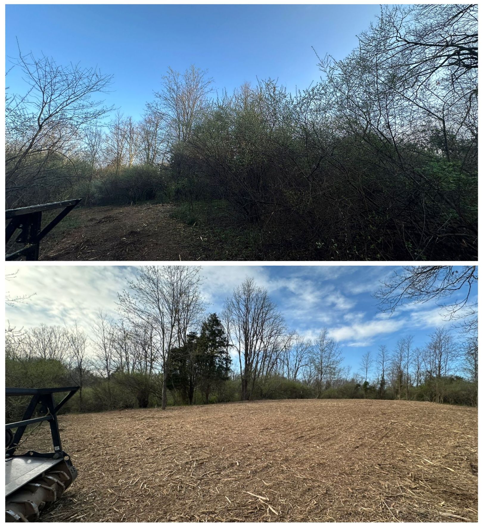 A before and after picture of a field with trees and a tractor.