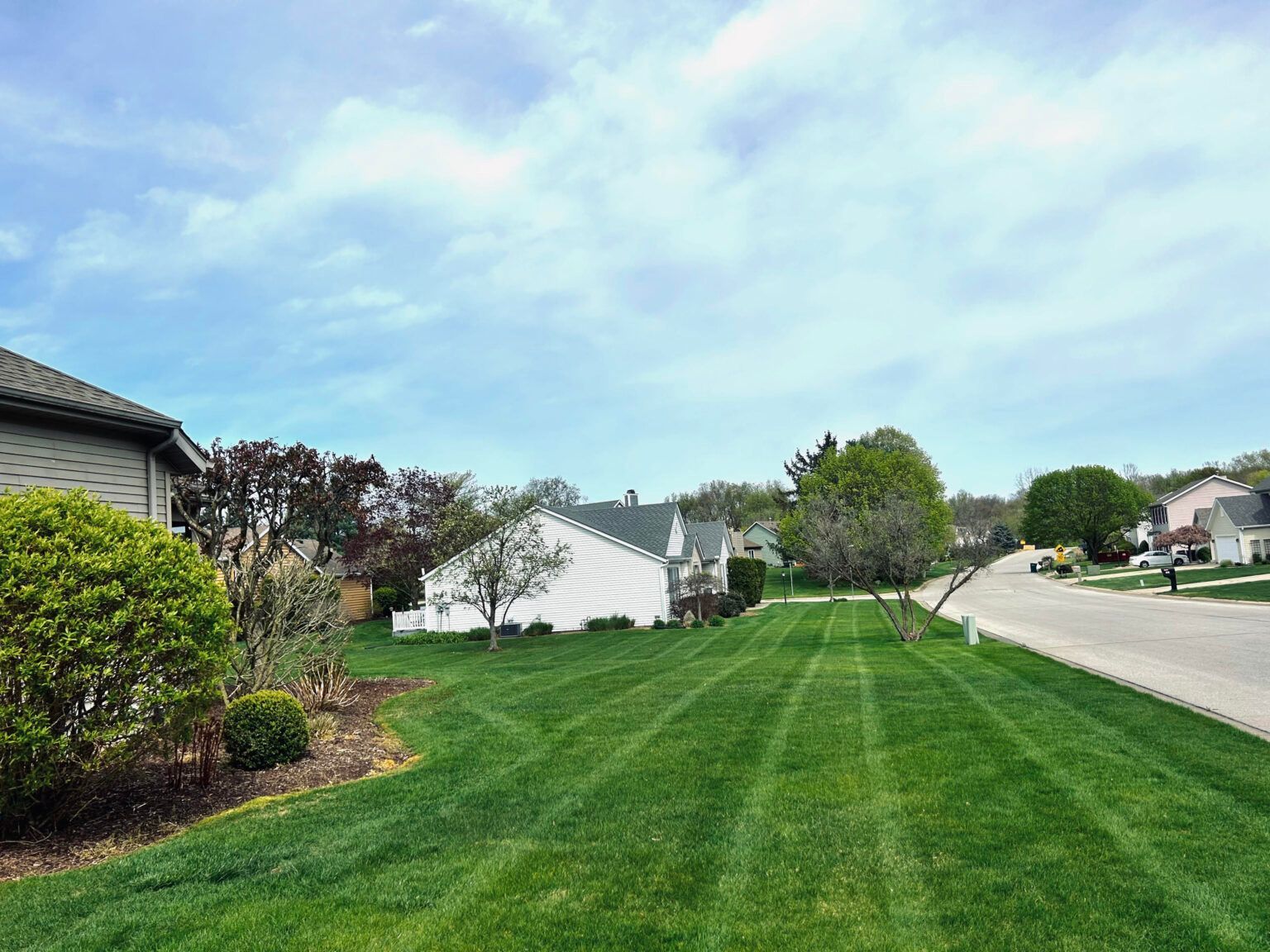 A lush green lawn in a residential neighborhood with houses in the background.