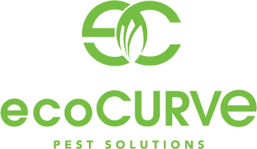 Pest Control Wichita Ks Ecocurve Pest Solutions