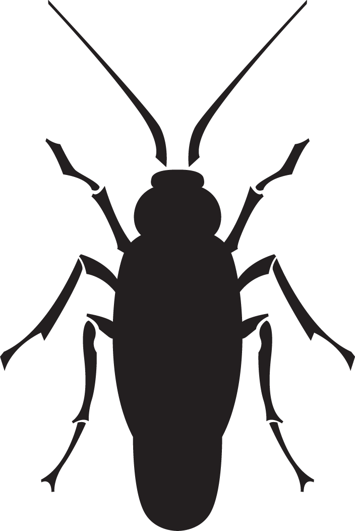 Black silhouette of an insect with long antennae and six legs.