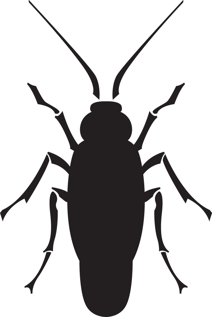 pest treatment for ticks