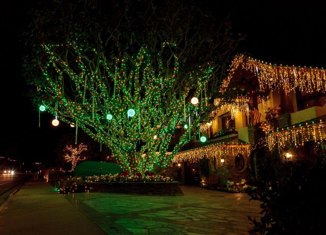 Christmas Light Installers Company Pasadena Md