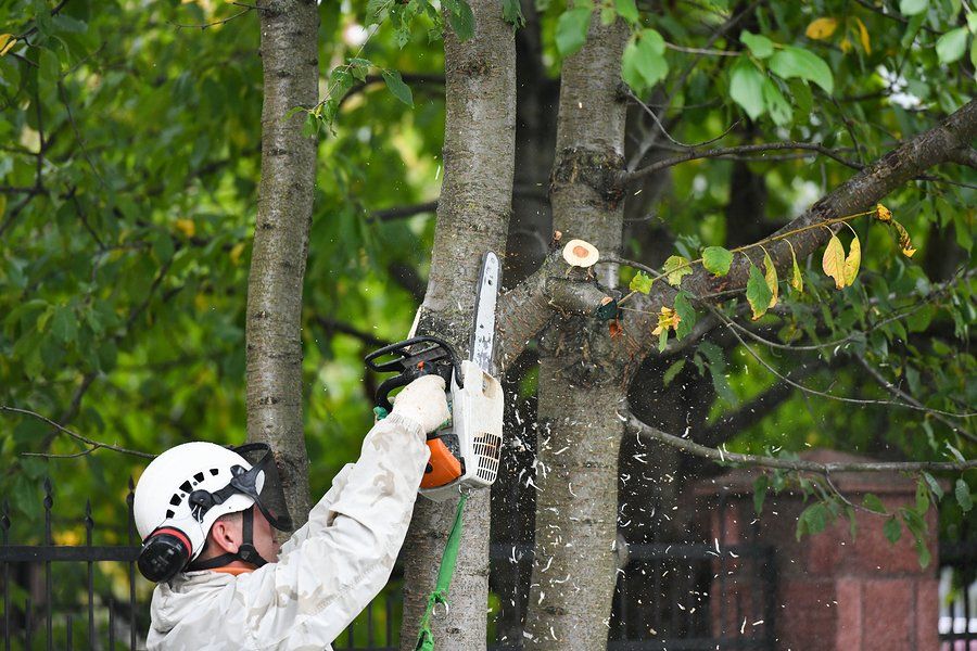 man in white using chainsaw