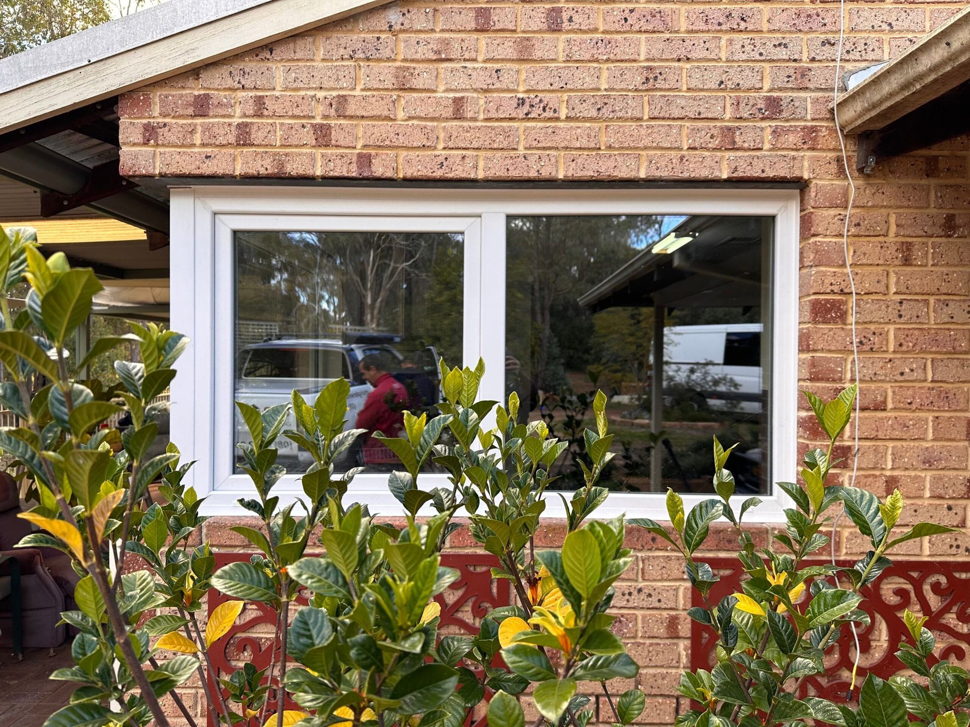 White framed window on brick wall, reflecting trees and vehicles, plants in foreground.