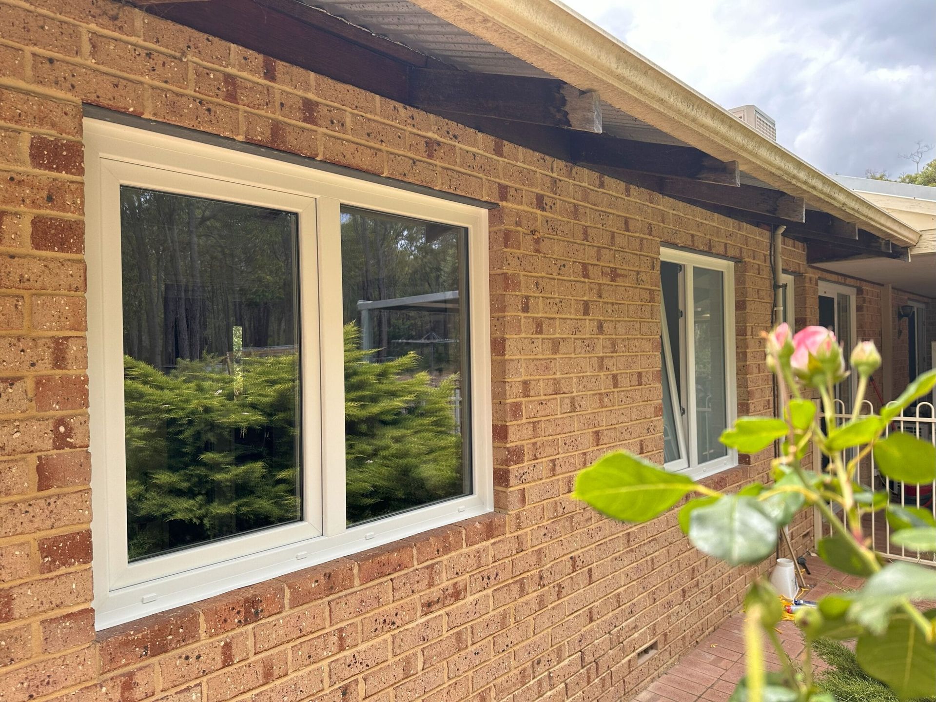 Brick building exterior with white-framed windows reflecting trees. Rose bush in foreground.
