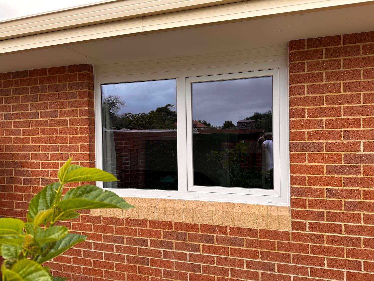 White-framed window on a red brick building, reflecting the sky and trees.