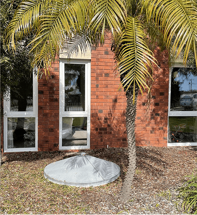 Red brick building with white-framed windows, palm tree in front, and a circular gray lid on the ground.