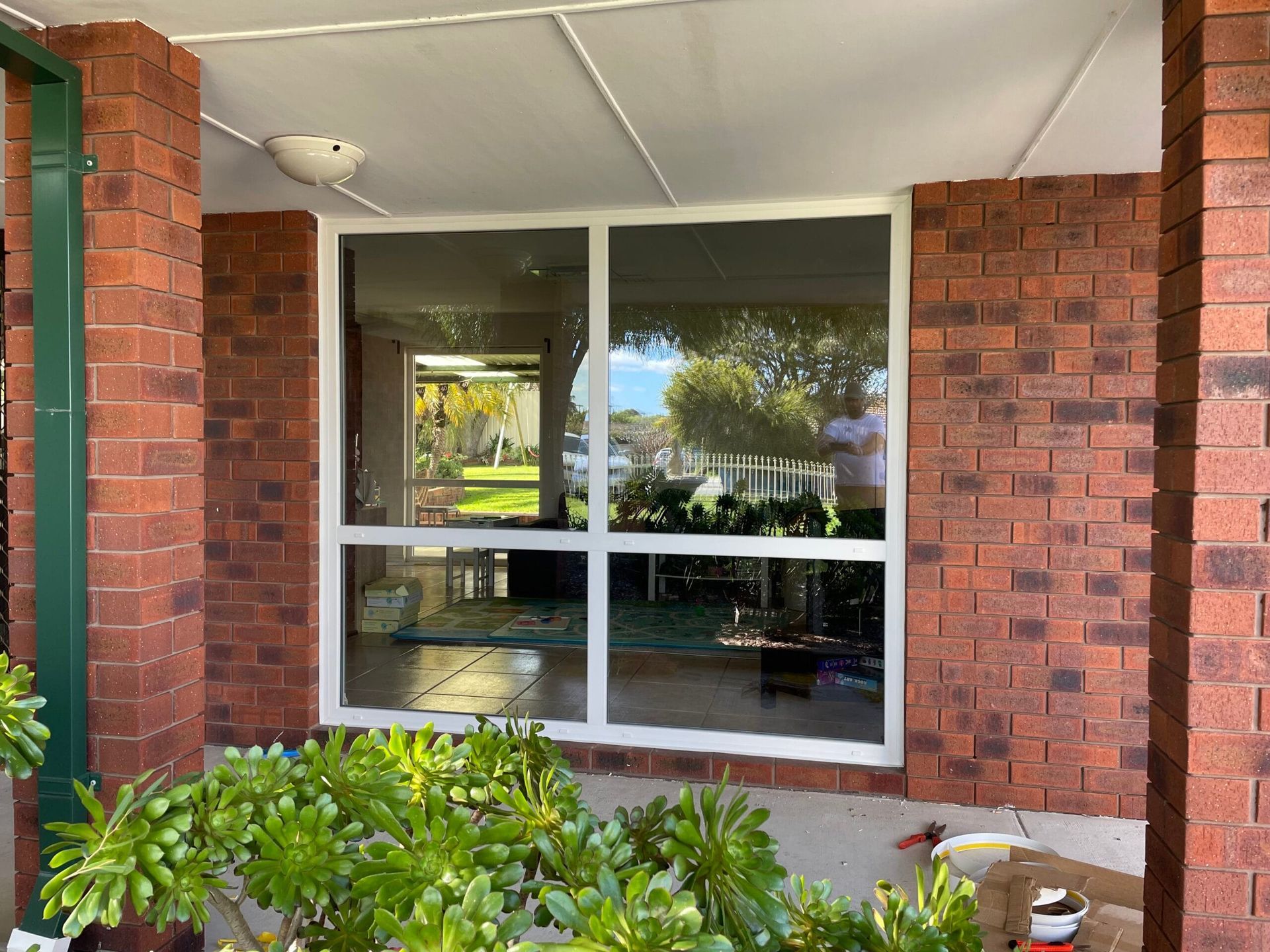 Window framed by red brick walls; green plants in the foreground.