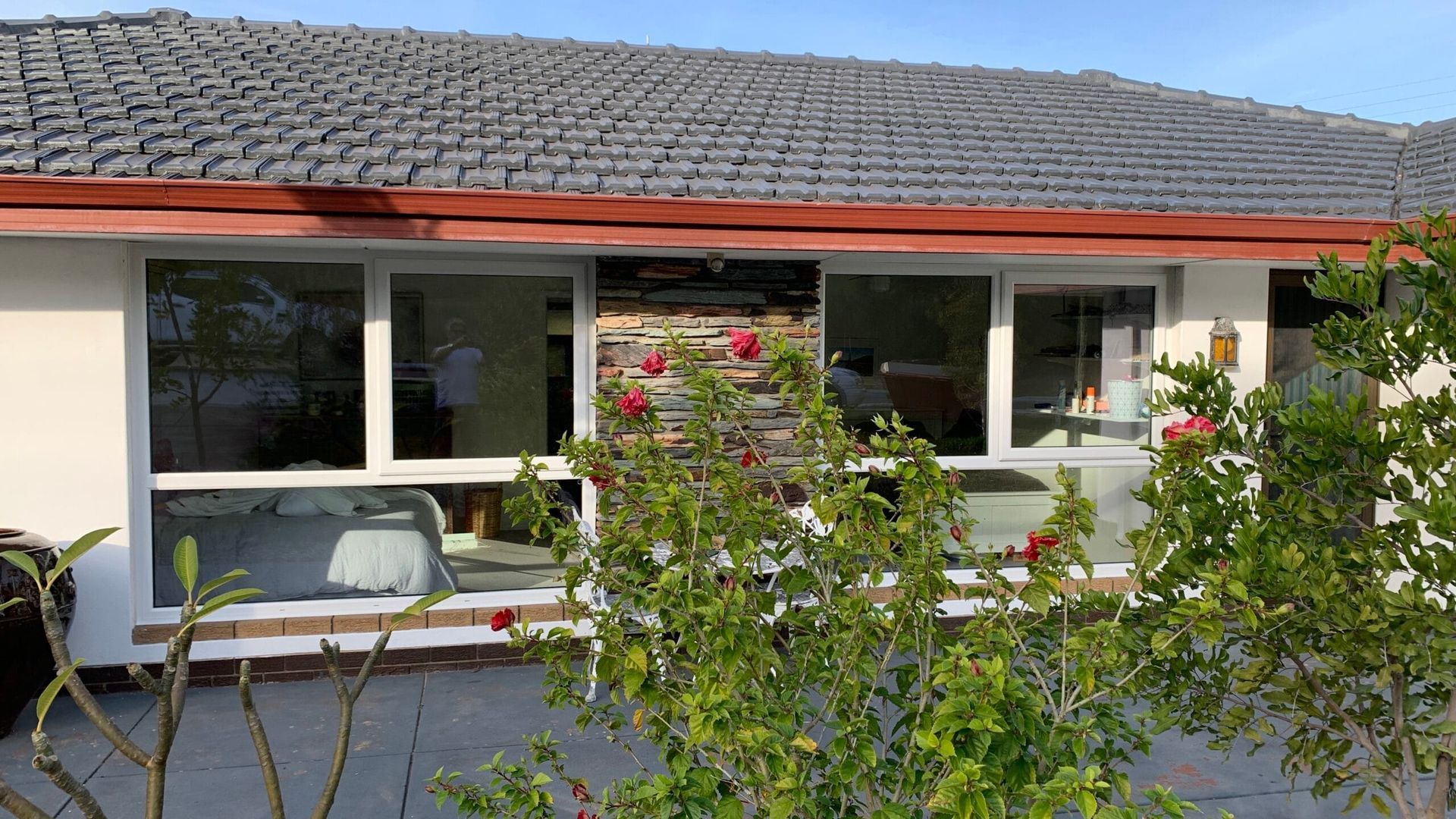Low-angle view of a house with a gray tile roof and white-framed windows, partially obscured by green leafy bushes.