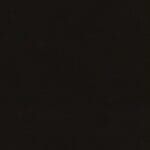 Dark, blurry background with minimal visible detail.