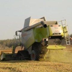 Una grande mietitrebbia Claas verde e bianca al lavoro in un campo, sollevando polvere.