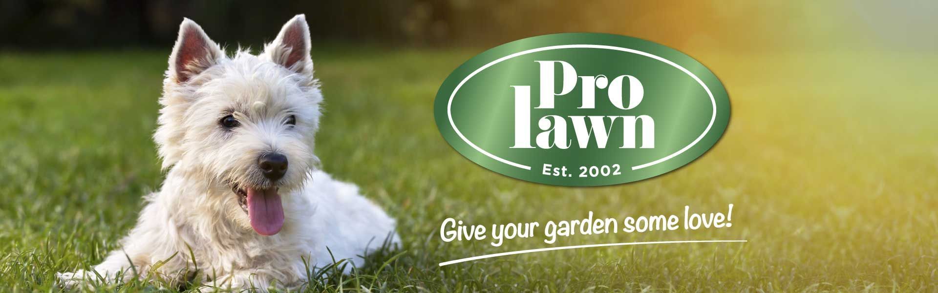 Prolawn Facebook Header with small white dog lying on the grass next logo