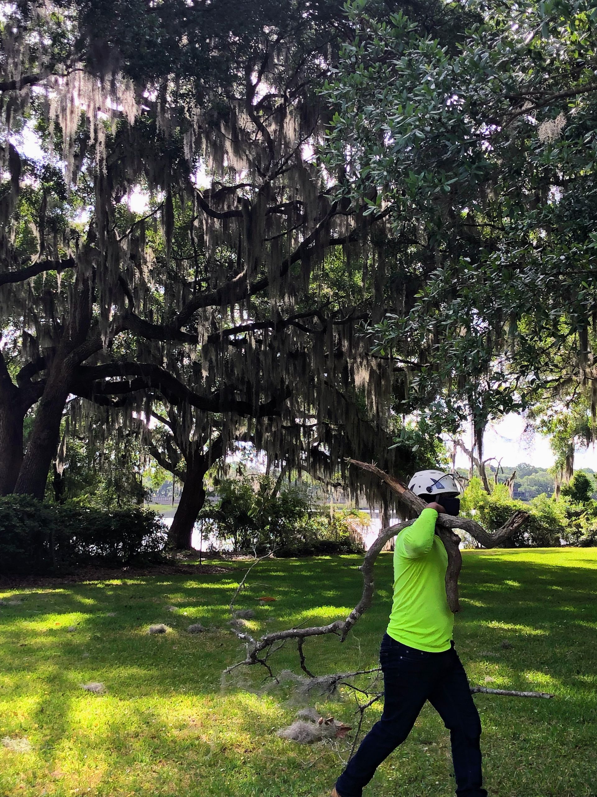 A man is throwing a frisbee in a park.