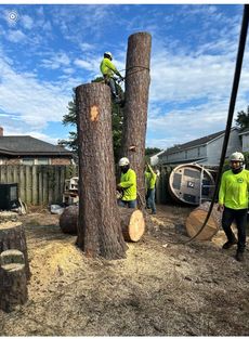 A group of men are standing on top of a tree stump.