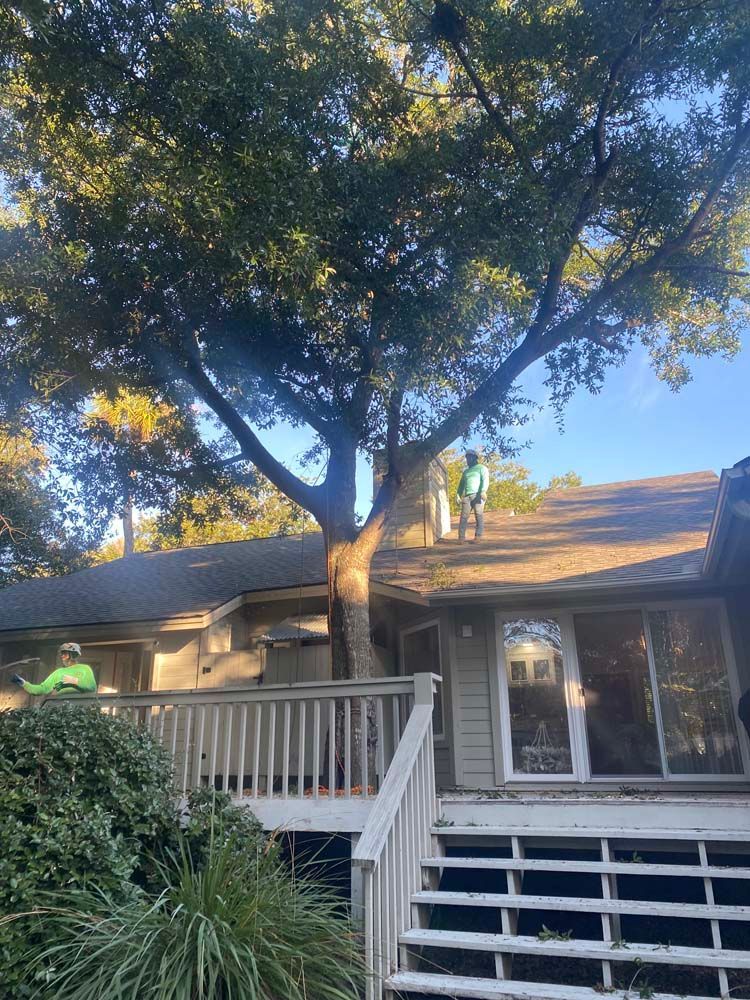 Two people trimming tree branches that overhang a roof. One is on the roof, other on the ground.