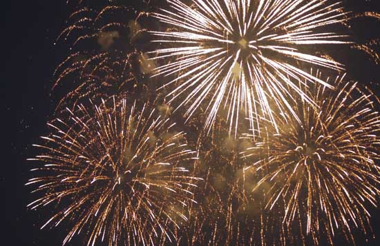 A bunch of fireworks are exploding in the night sky.
