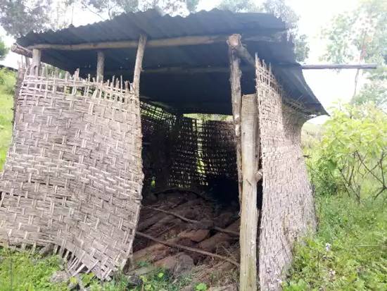 カレマロ小学校のトイレ