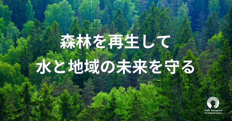 森林を再生して水と地域の未来を守る